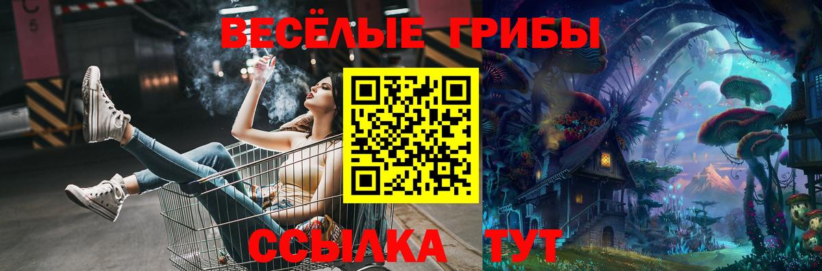 Полысаево  Галлюциногенные грибы Magic Shrooms  Галлюциногенные грибы Psilocybe  Вход с VPN 